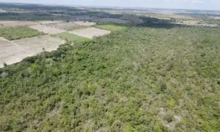 Chácara / sítio com 3 quartos à venda no Centro, Macaíba 
