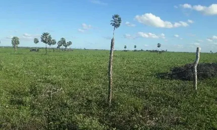 Linda Fazenda com 190 hectares entre lagoa de pedras e Serrinha