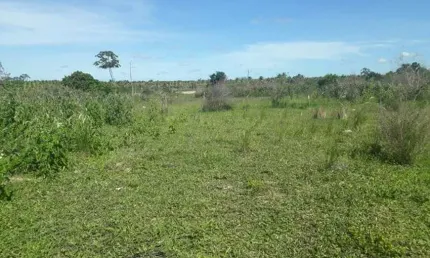Fazenda com 320 hectares no córrego de São Mateus Município de boa saúde