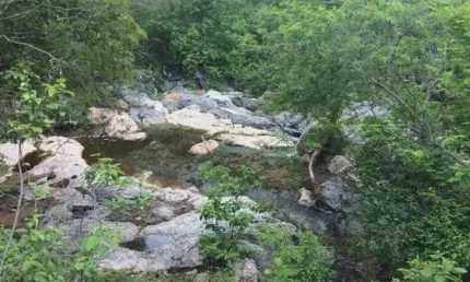 Chácara / sítio com 3 quartos à venda no Centro, Cerro Corá 
