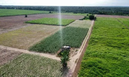 fazenda com 47 hectares no arena terra para plantação de coqueiros e irrigação