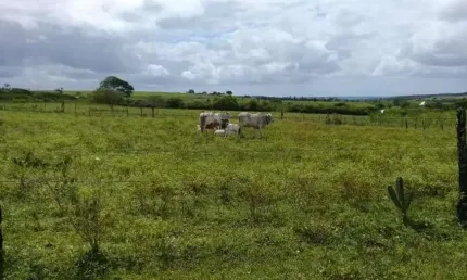 Chácara / sítio com 3 quartos à venda no Centro, Lagoa de Pedras 