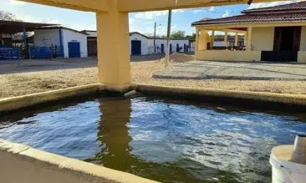 Chácara / sítio com 5 quartos à venda no Centro, Tangará 
