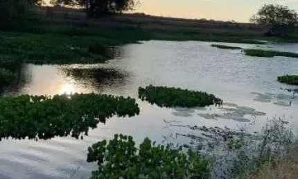 fazenda no vale de Ceara mirim-RN riquíssima em água e em estrutura