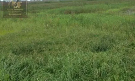 Fazenda com 25 hectares no vale de ceara mirim com o rio detro