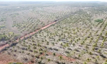 Fazenda com 279 hectares na região de rio do fogo excelente para coqueiros