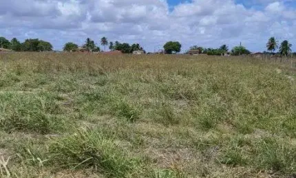 Chácara / sítio com 4 quartos à venda no Centro, Monte Alegre 