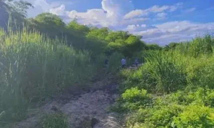 Fazenda com 55 hectares em São José de mipibu frente para BR101