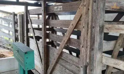 Fazenda com 220 hectares na região de monte alegre no vale