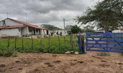 fazenda com 500 hectares em Currais novos com Ascesso na BR226 uma oportunidade excelente