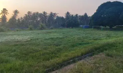 granja com 4 hectares no Villagio dos coqueiros próximo a Monte Alegre
