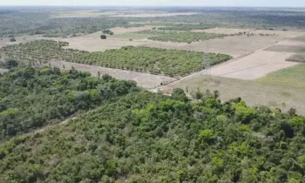 Fazenda com 1.300 hectares na região de rio do fogo