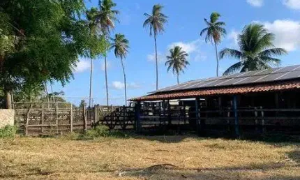 Chácara / sítio com 3 quartos à venda no Centro, Ceará-Mirim 