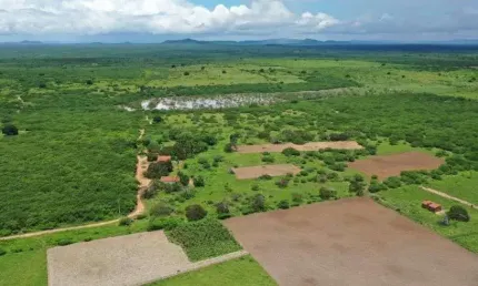 Fazenda/sítio/chácara com 320 hectares próximo a cidade área excelente para quais quer atividade