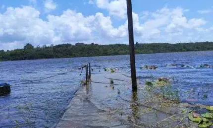 fazenda com 250 hectares bem estruturada e com uma localização perfeita para quais quer atividade