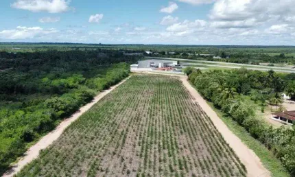 área para de luxo para loteamento e condomínio na grande natal próximo a Parnarmirim