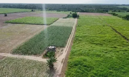 Excelente fazenda com 48 hectares no arena municipal de São José de Mipibu-RN