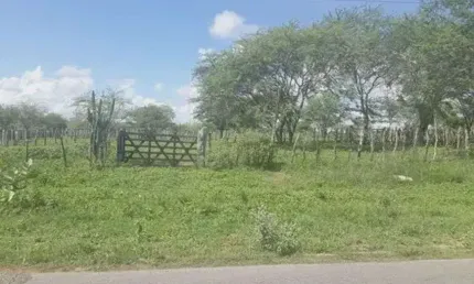 Chácara / sítio com 3 quartos à venda no Centro, São Pedro 
