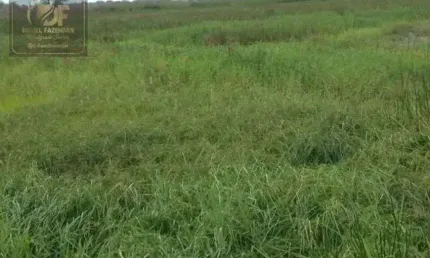 Fazenda com 25 hectares no vale de ceara mirim com o rio dentro