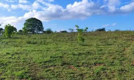 Fazenda com 300 hectares na região de Boa saúde cortada pelo rio Trairi boa de pasto e água