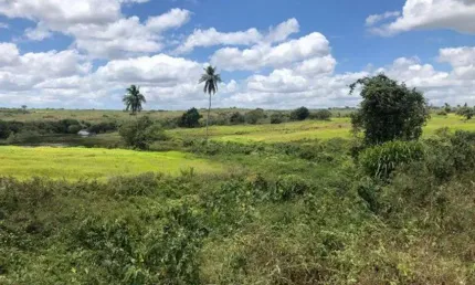 Fazenda com 590 hectares na região de monte alegre estruturada