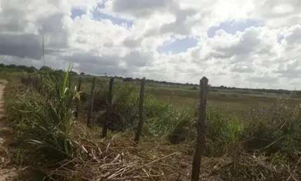 Excelente fazenda com 95 hectares na região de vera cruz