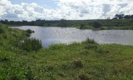 Linda Fazenda com 770 hectares na região de São Gonçalo do Amarante