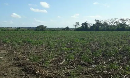 Fazenda em monte alegre com 20 hectares com o rio trairi