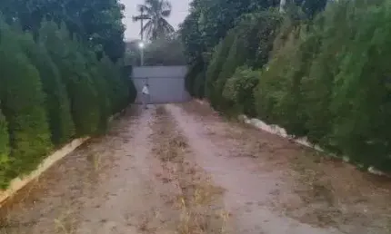 Granja com 4 hectares no Villagio dos coqueiros próximo a Monte Alegre