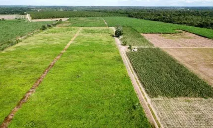 fazenda com 48 hectares no arena municipal de São José de Mipibu-RN terra excelente