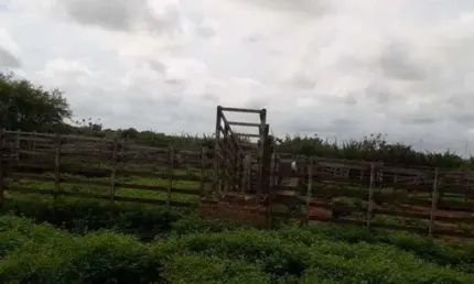 Linda Fazenda com 500 hectares na região de Parazinho com projeto de 9 torres eólica