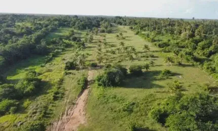 fazenda com 49.7 hectares na grande natal próximo a Extremoz
