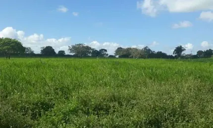 Chácara / sítio com 3 quartos à venda no Centro, Vera Cruz 