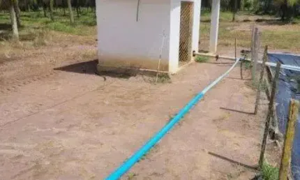 fazenda de coqueiros de porteira fechada em ceará mirim