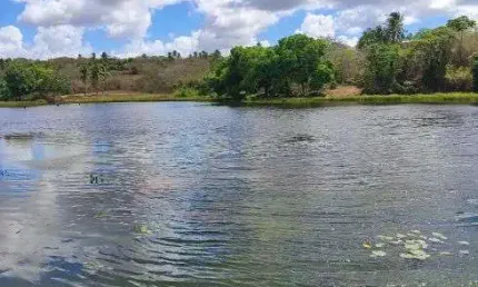fazenda com 150 hectares na região de Pedro velho riquíssima em água