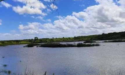 Chácara / sítio com 3 quartos à venda no Centro, Vera Cruz 