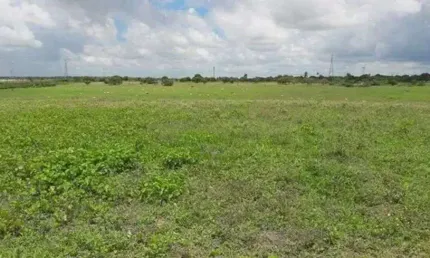 Chácara / sítio com 3 quartos à venda no Centro, Monte Alegre 