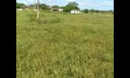 Fazenda com 110 hectares próximo a cajazeiras sentido são pedro do potengi