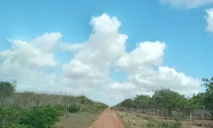 Ótima Fazenda com 497 hectares na região de João Câmara terra com grande potencial
