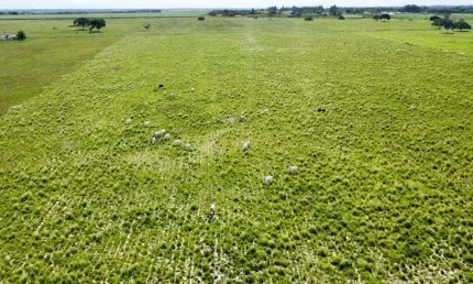 fazenda com 142 hectares na região de Macaíba bastante estruturada