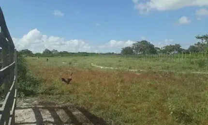 Chácara / sítio com 3 quartos à venda no Centro, Vera Cruz 