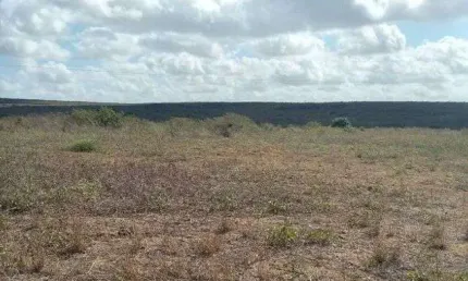 Excelente Fazenda com 497 hectares na região de João Câmara terra com grande potencial