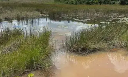 Excelente Fazenda com 126 hectares na região de Pedro velho-RN