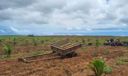 Fazenda/Sítio/Chácara para venda tem 2 metros quadrados em Centro - Touros - Rio Grande do Norte