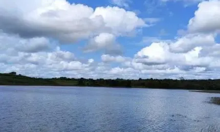 fazenda com 385 hectares próximo a Canguaretama com excelente localização rica em água