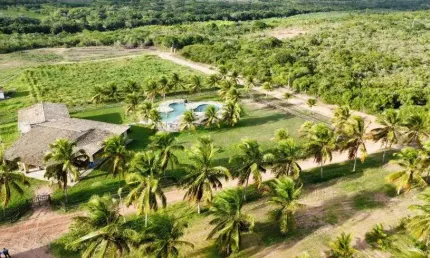 fazenda com 92 hectares de Dom Marcílio com 4.300 pés de coqueiros híbridos um luxo de estrutura