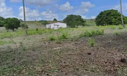 fazenda com 150 hectares na região de são Gonçalo do amarante