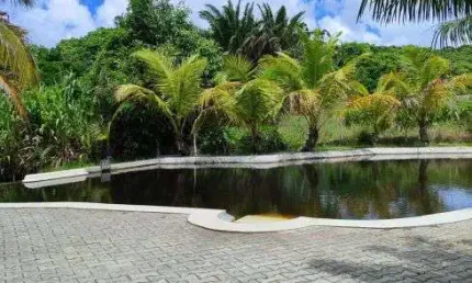 fazenda com 80 hectares entre Goianinha e Canguaretama um oásis de luxo