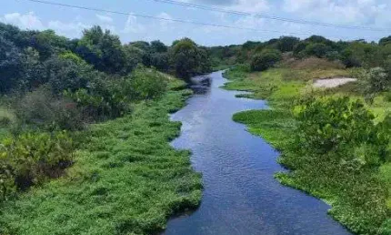 Fazenda com253.4 hectares próximo a punau na região de rio do fogo na br 101
