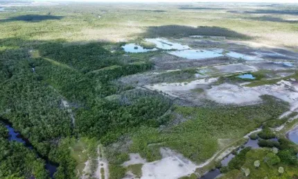 fazenda com 500 hectares em Canguaretama excelente para crédito de carbono azul